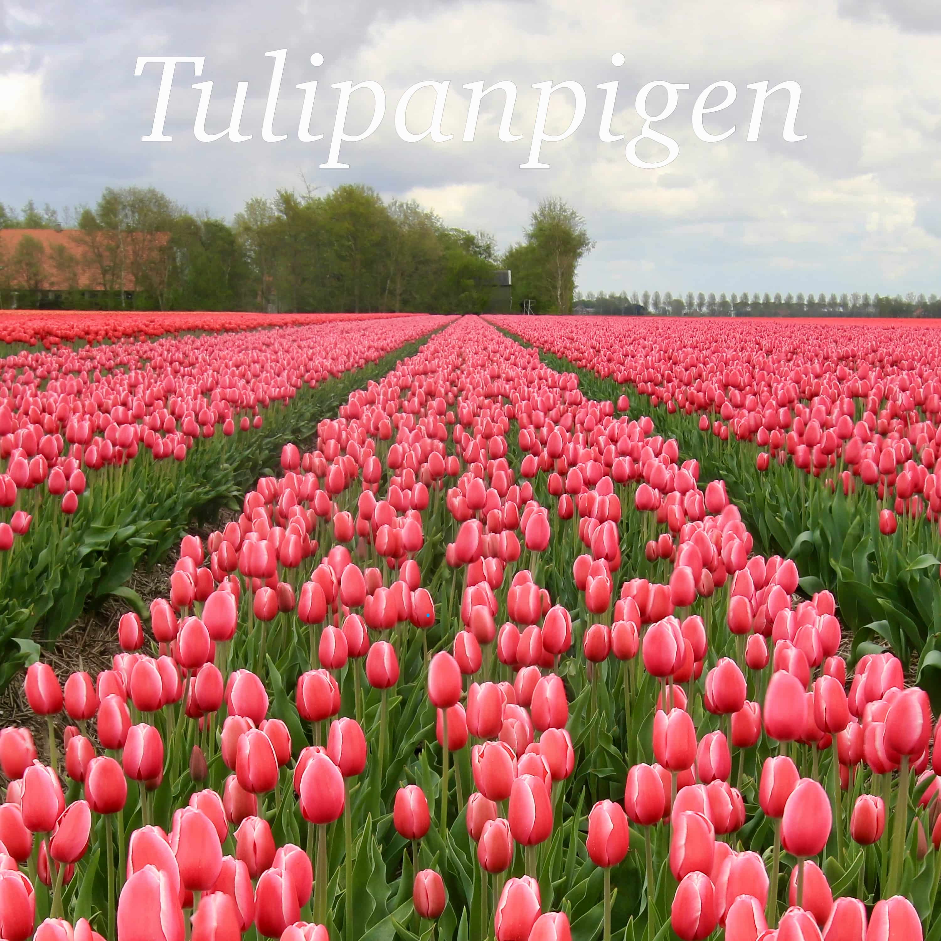 Ytringer: Tulipanpigen – Podcast artwork med tulipanmark